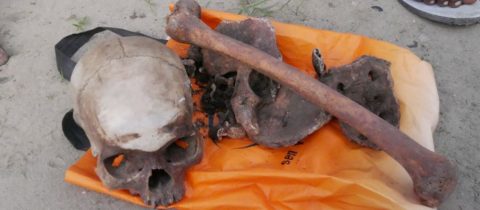 Un réseau de présumés trafiquants d’ossements humains démantelé à Pointe Noire, Brazzaville et Madingou.