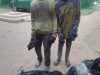 Deux présumés braconniers traduits en justice à Brazzaville.