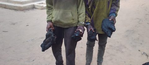 Deux présumés braconniers traduits en justice à Brazzaville.