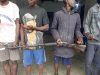 Quatre présumés braconniers interpellés dans une aire protégée à Odziba.