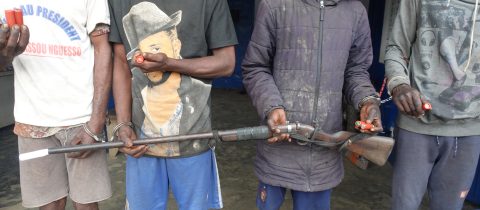 Quatre présumés braconniers interpellés dans une aire protégée à Odziba.