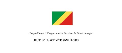 Rapports annuels