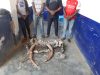 Interpellés pour trafic des produits de faune à Nkayi et Dolisie.   