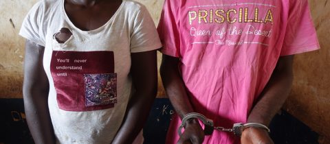 Un couple interpellé pour détention et trafic d’un mandrill vivant à Nkayi.